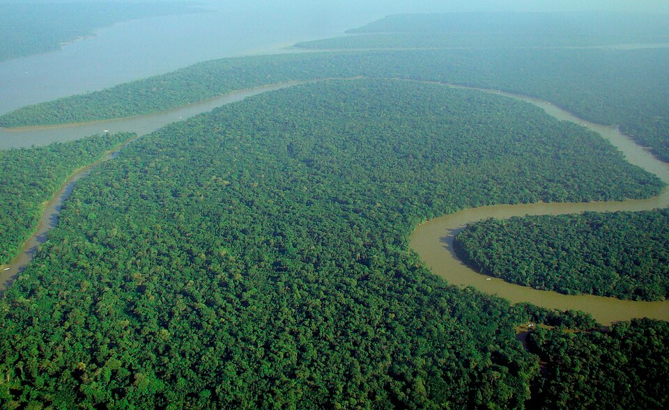 File:Aerial view of the Amazon Rainforest.jpg
