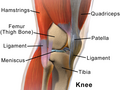 Thumbnail for version as of 16:29, 3 December 2013