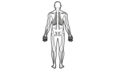 Thumbnail for version as of 04:59, 29 December 2020