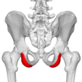 Thumbnail for version as of 19:15, 15 February 2015