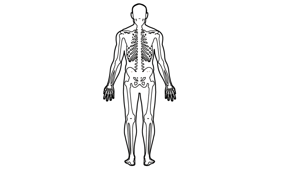 File:Human body template.png